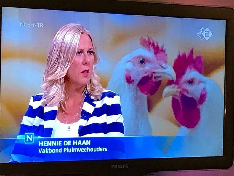 Gewoon een verzameling hilarische foto's #989