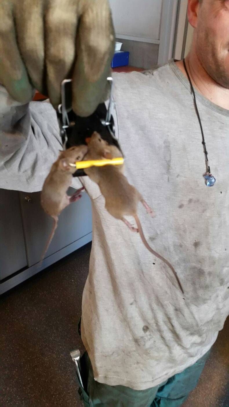 Gewoon een verzameling hilarische foto's #830