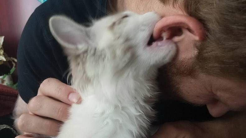 Gewoon een verzameling hilarische foto's #1215