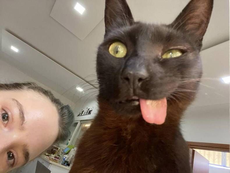 Gewoon een verzameling hilarische foto's #1293