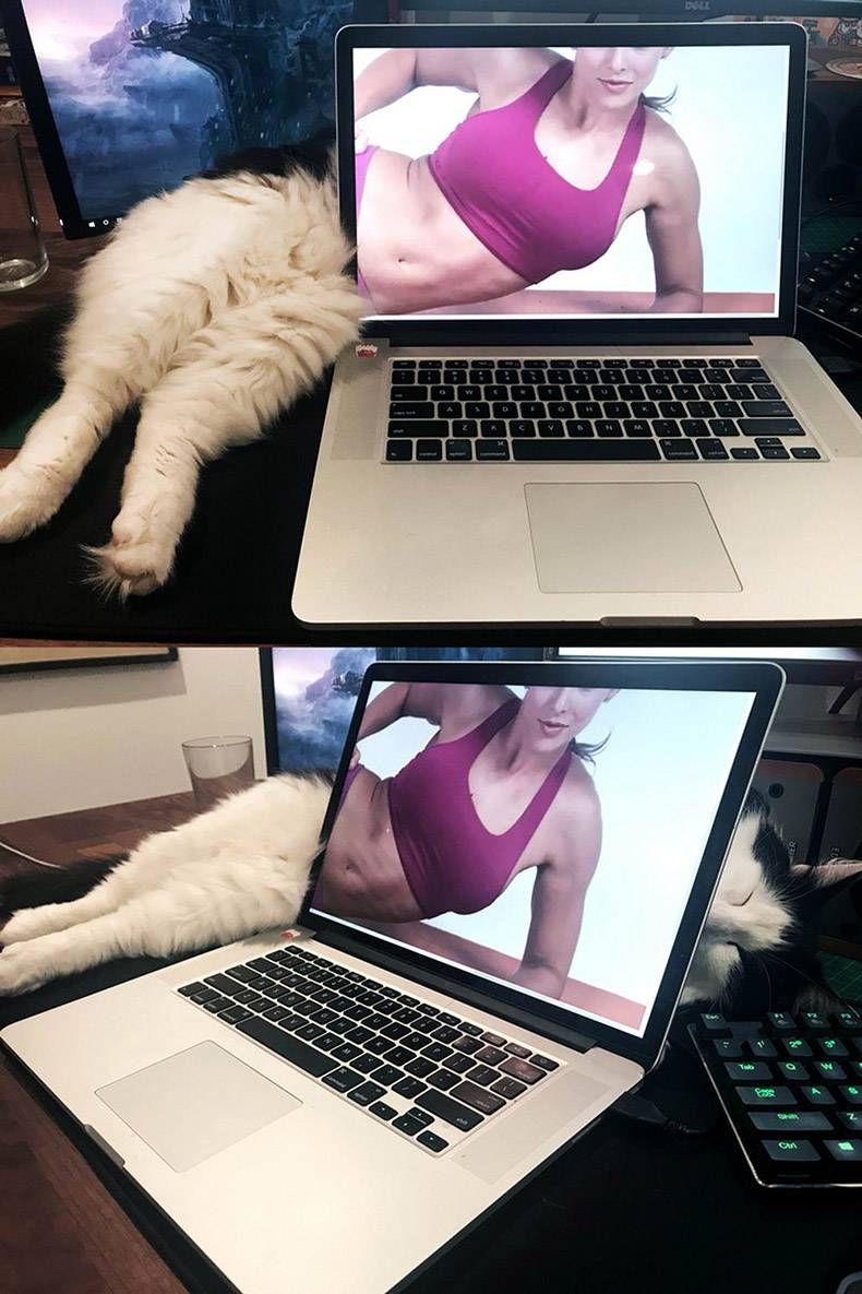 Gewoon een verzameling hilarische foto's #1068