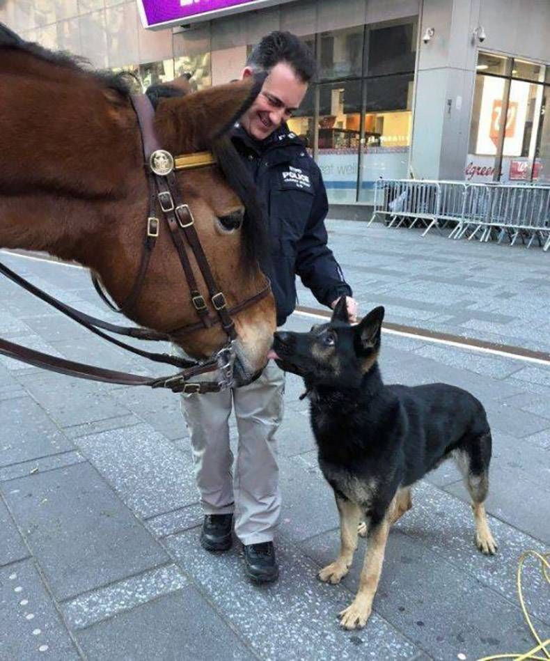 Gewoon een verzameling hilarische foto's #970