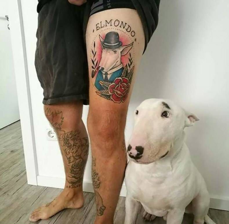 Gewoon een verzameling hilarische foto's #944