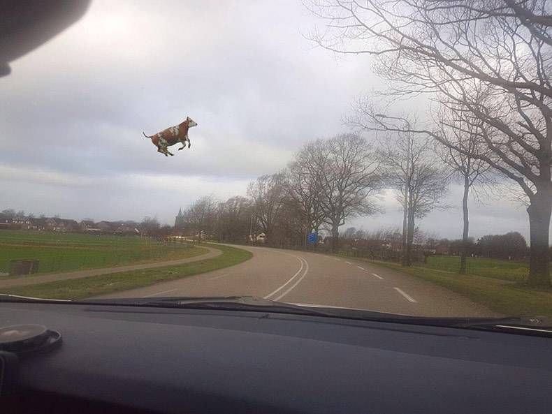 Gewoon een verzameling hilarische foto’s #921