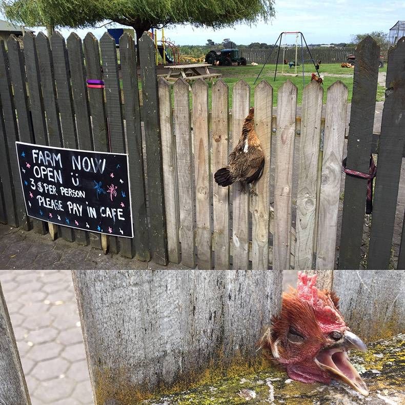 Gewoon een verzameling hilarische foto's #760