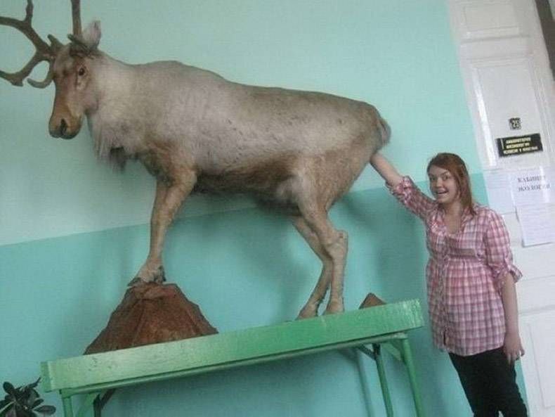 Gewoon een verzameling hilarische foto's #1295