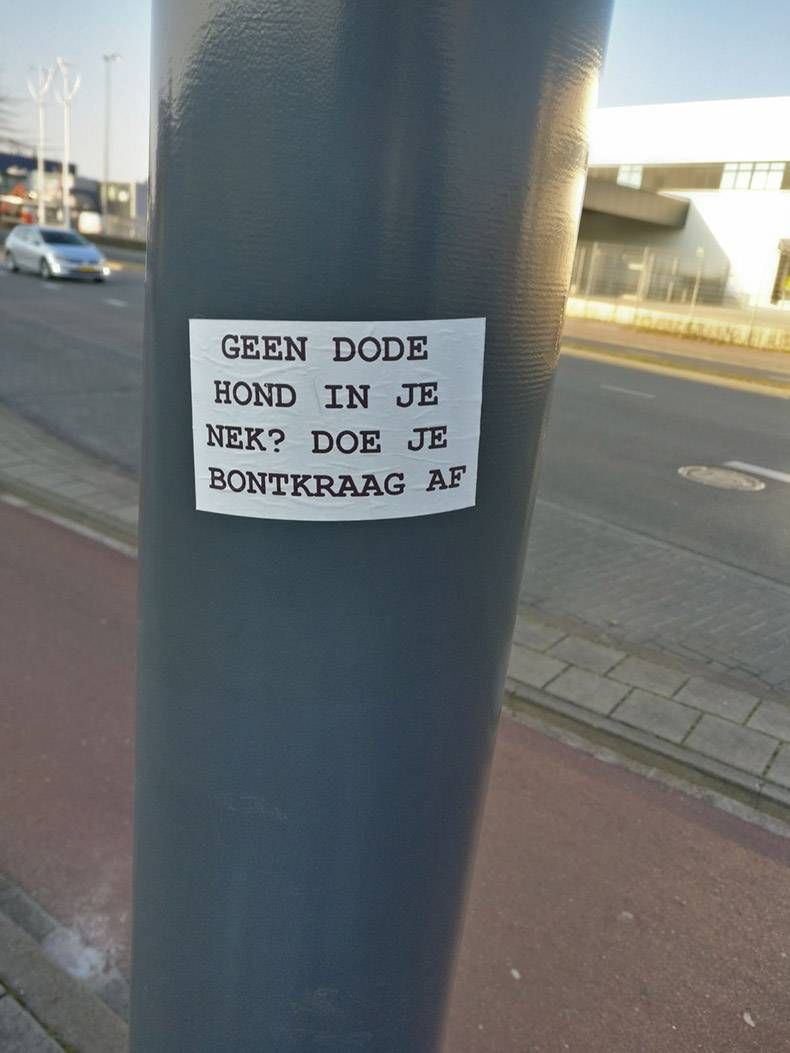 Gewoon een verzameling hilarische foto's #935