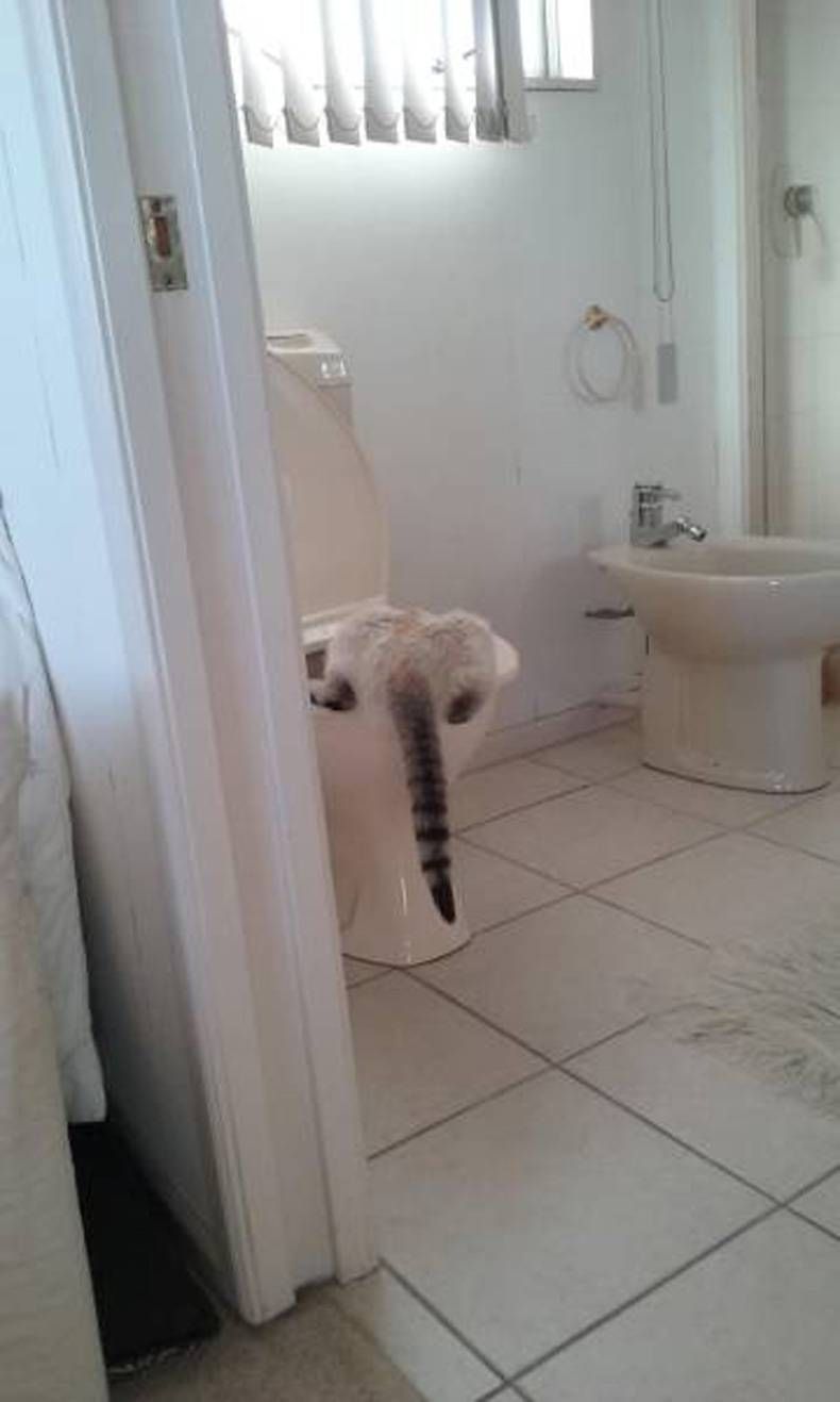 Gewoon een verzameling hilarische foto's #752