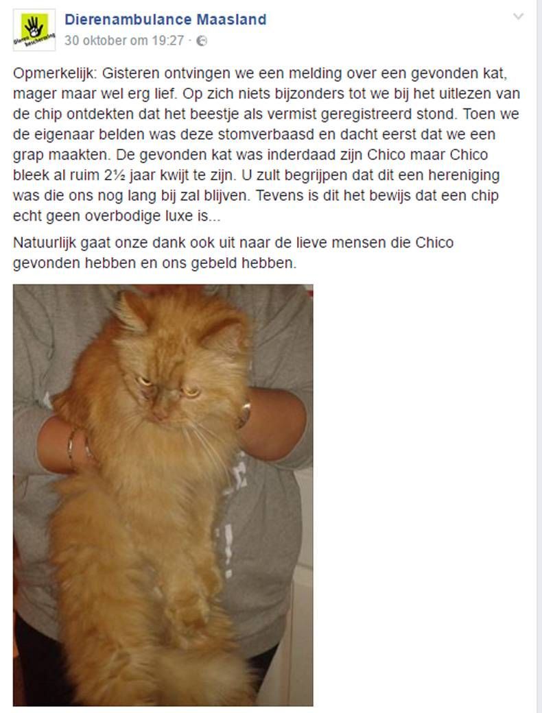 Gewoon een verzameling hilarische foto's #731