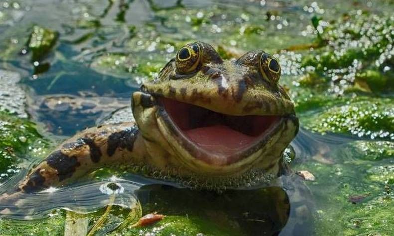 Gewoon een verzameling hilarische foto's #723