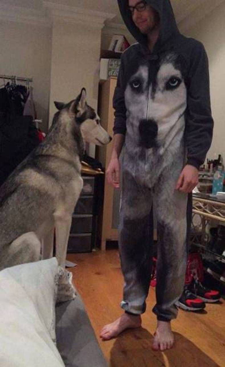 Gewoon een verzameling hilarische foto's #701
