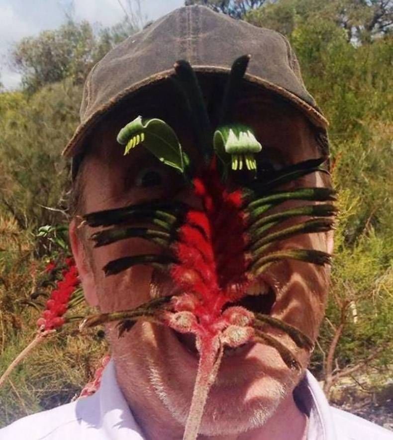 Gewoon een verzameling hilarische foto’s #965