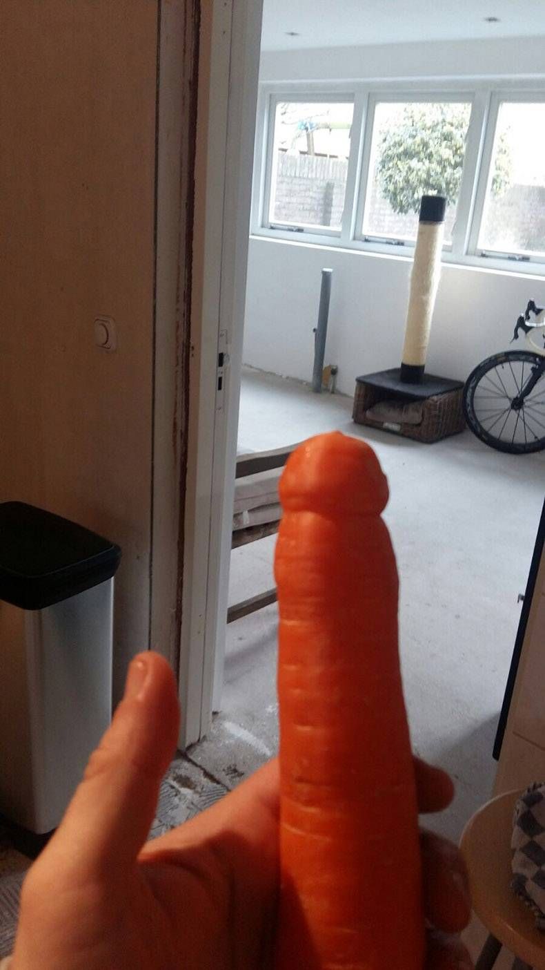 Gewoon een verzameling hilarische foto's #817