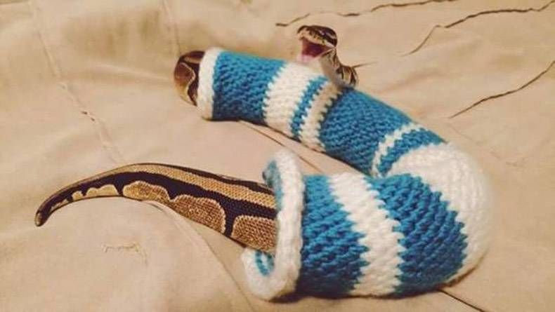 Gewoon een verzameling hilarische foto's #808