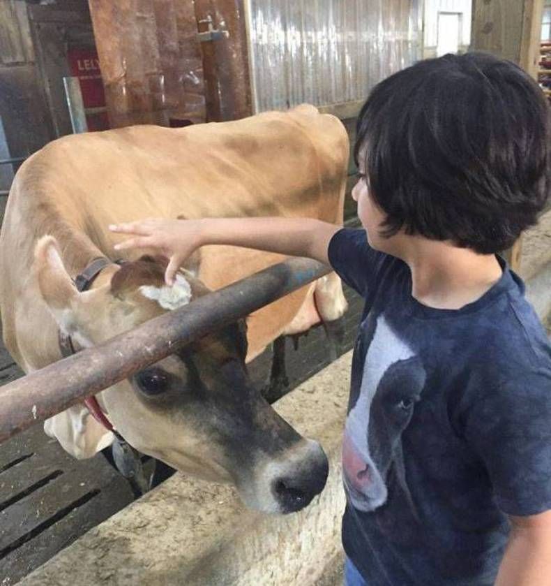 Gewoon een verzameling hilarische foto's #736
