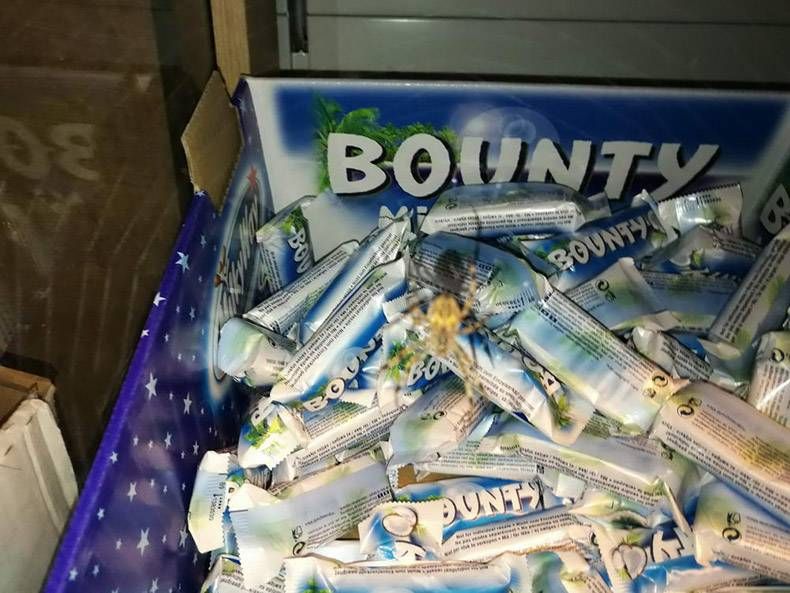 Gewoon een verzameling hilarische foto's #1305