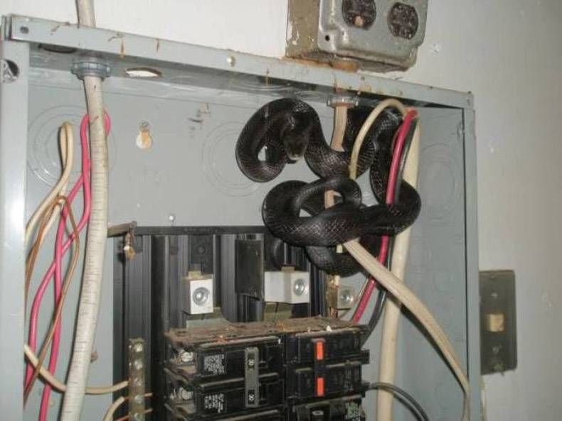 Gewoon een verzameling hilarische foto’s #1239