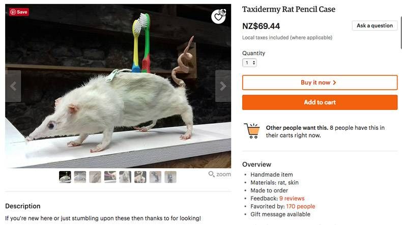Gewoon een verzameling hilarische foto's #987