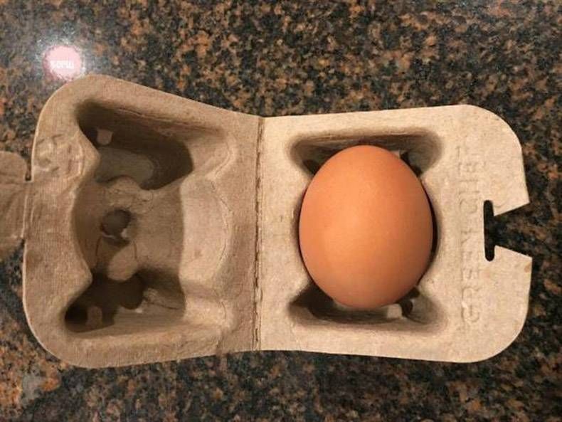 Gewoon een verzameling hilarische foto's #912