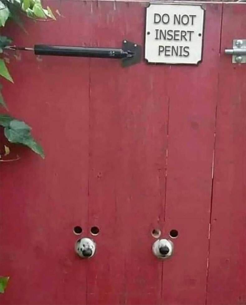 Gewoon een verzameling hilarische foto's #1076