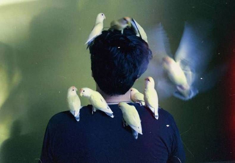 Gewoon een verzameling hilarische foto's #988