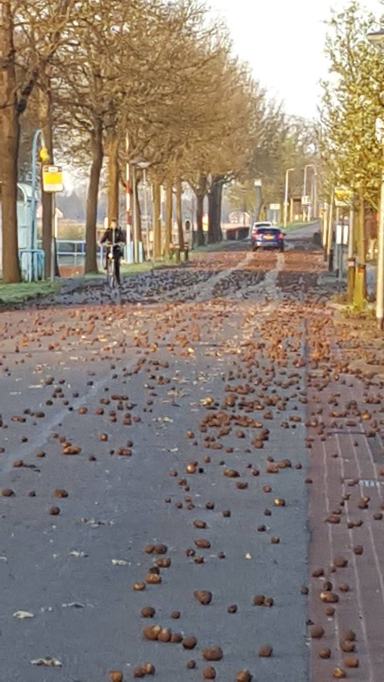 Gewoon een verzameling hilarische foto's #959
