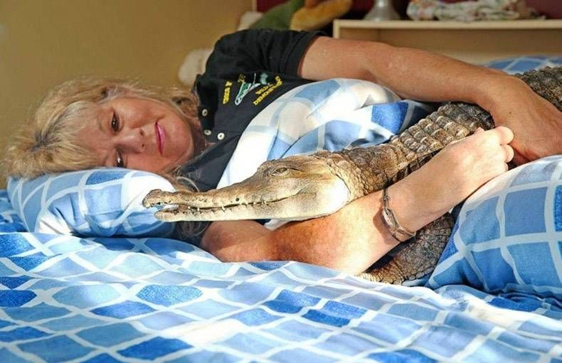 Gewoon een verzameling hilarische foto's #1041