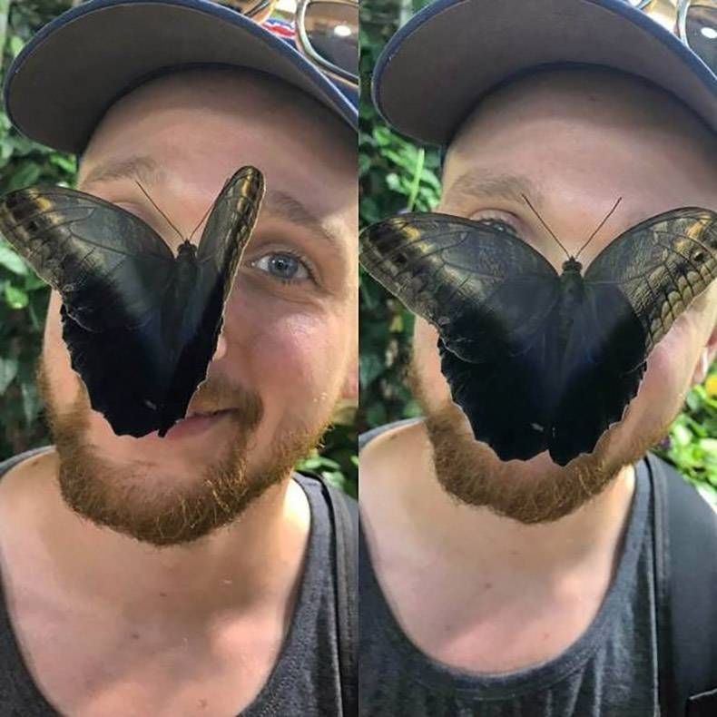 Gewoon een verzameling hilarische foto's #1018