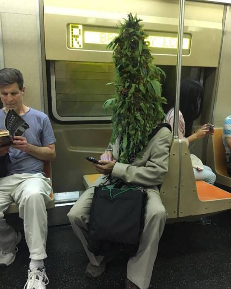 Gewoon een verzameling hilarische foto's #862