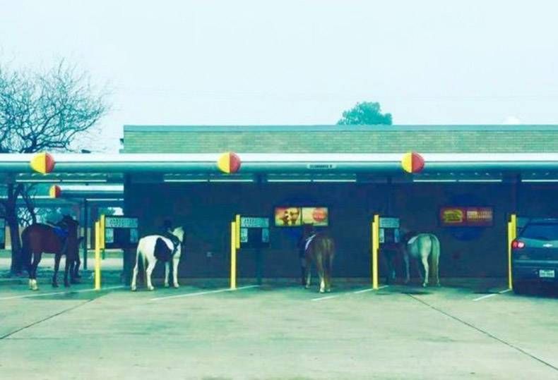 Gewoon een verzameling hilarische foto's #760