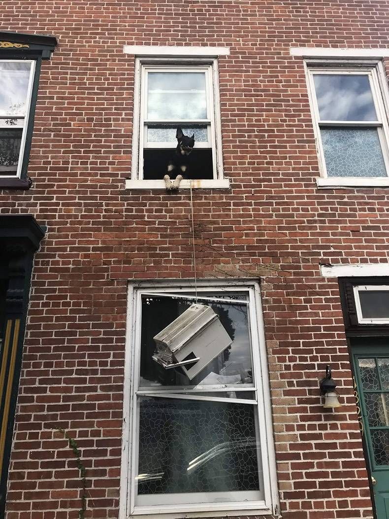 Gewoon een verzameling hilarische foto's #1305