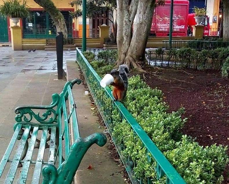 Gewoon een verzameling hilarische foto's #1041
