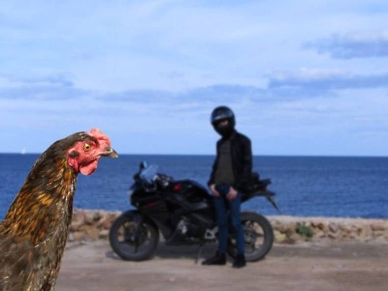 Gewoon een verzameling hilarische foto's #760