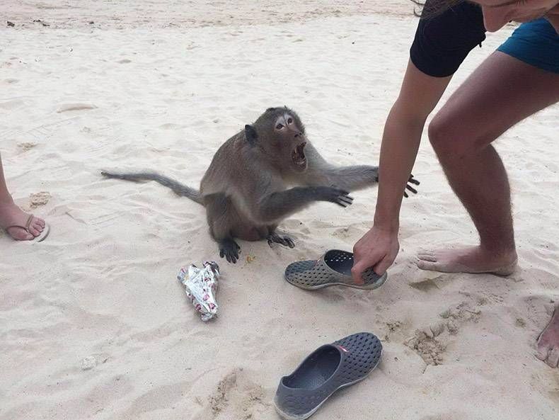 Gewoon een verzameling hilarische foto's #1065