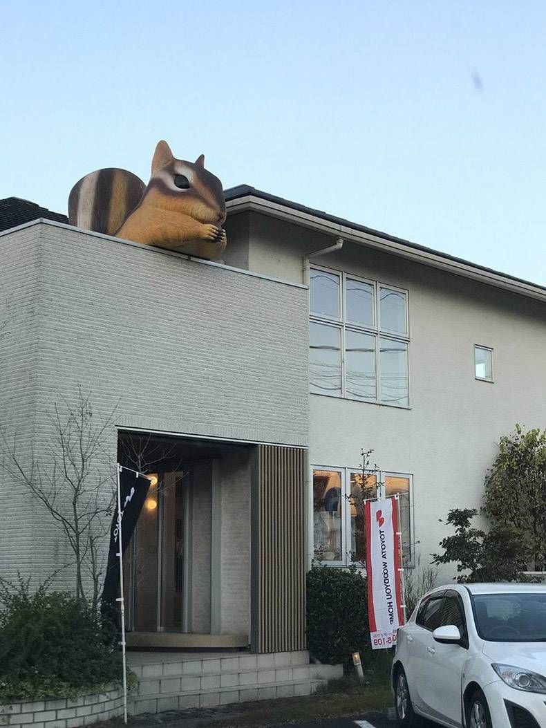 Gewoon een verzameling hilarische foto's #1063