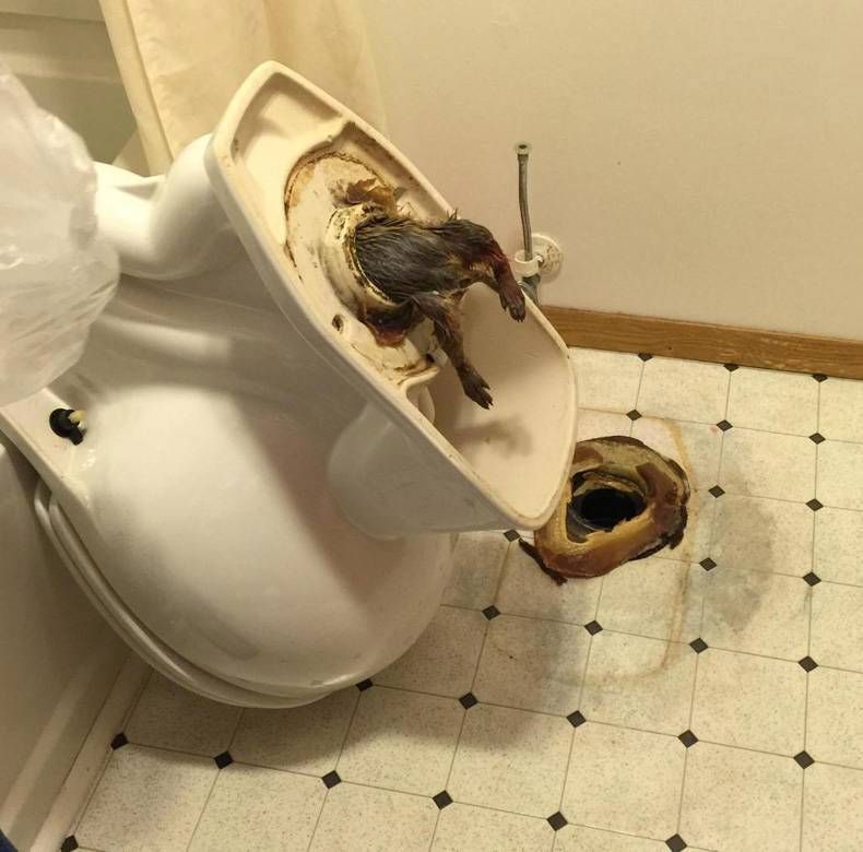 Pix Dump #1000 Special: Gewoon een verzameling OMFG foto’s