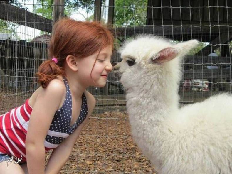 Gewoon een verzameling hilarische foto's #996