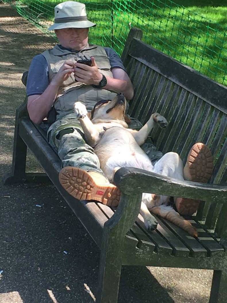 Gewoon een verzameling hilarische foto's #968