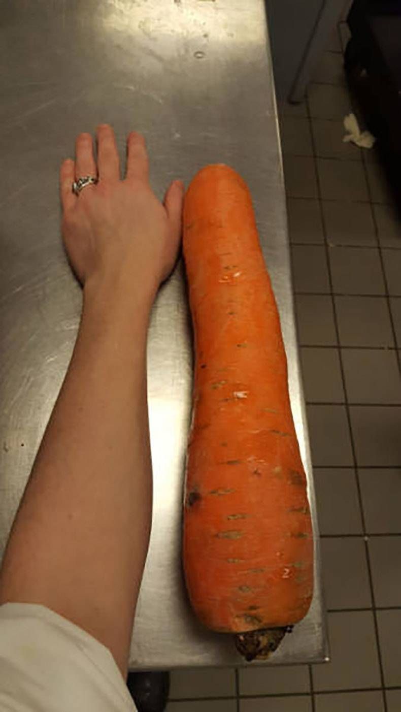 Gewoon een verzameling hilarische foto's #767