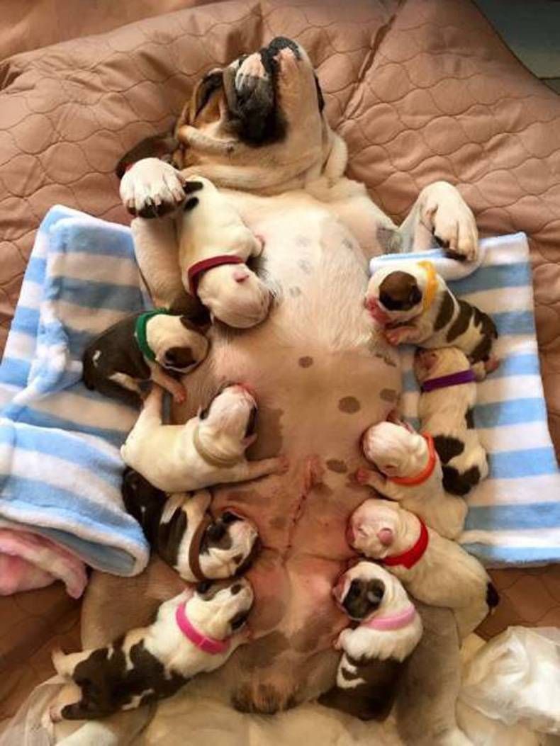 Gewoon een verzameling hilarische foto's #724