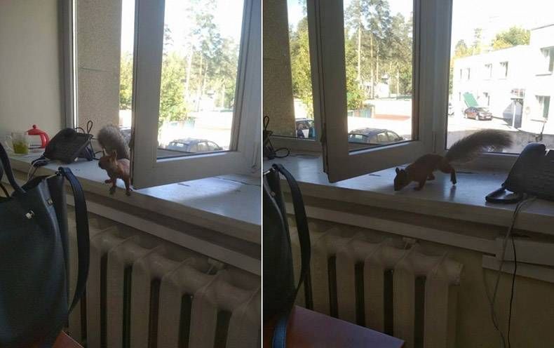 Gewoon een verzameling hilarische foto’s #1186