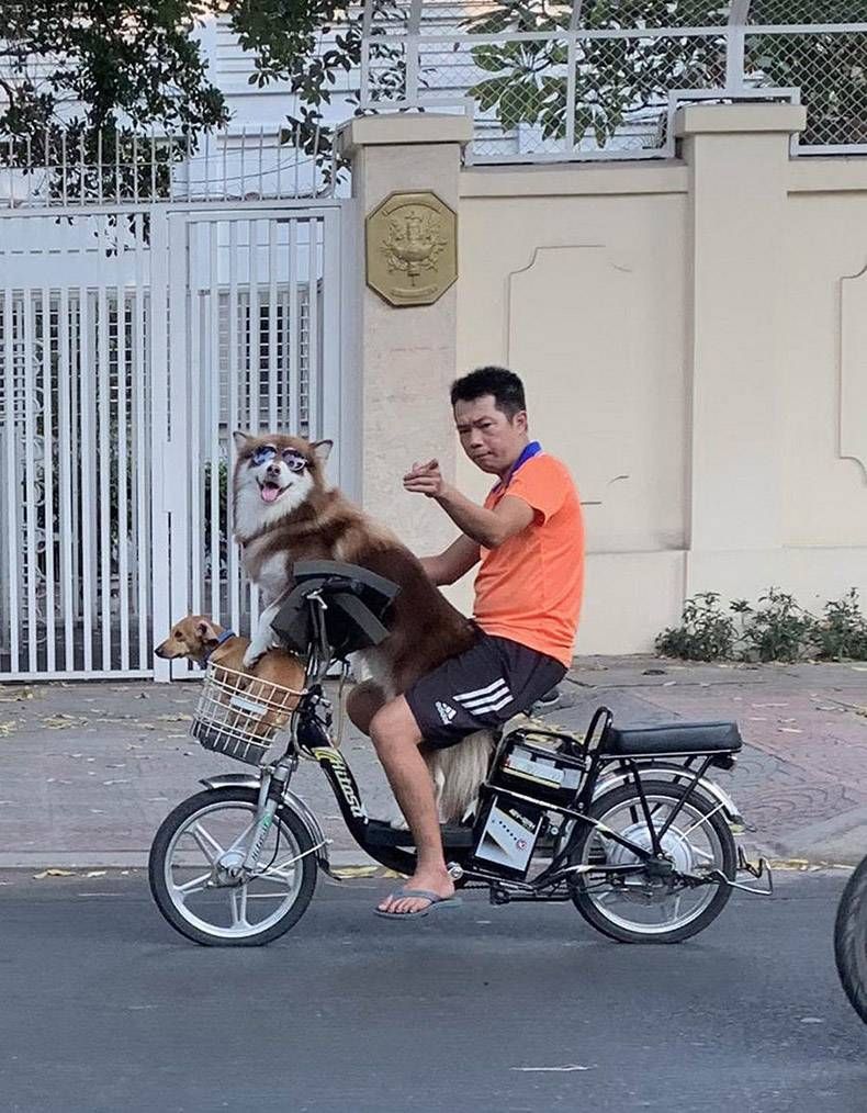 Gewoon een verzameling hilarische foto's #1104