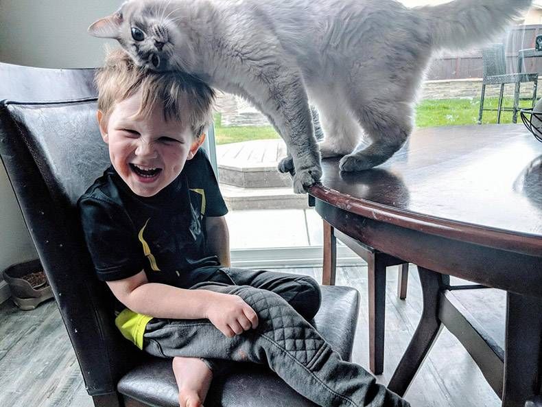 Gewoon een verzameling hilarische foto's #1087