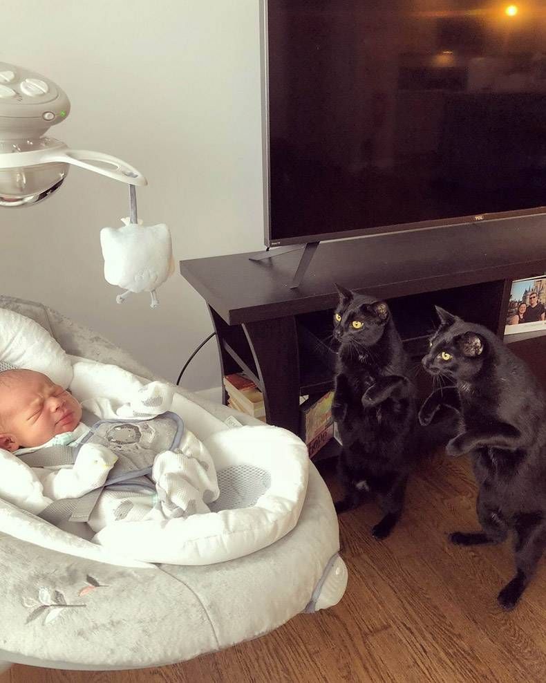 Gewoon een verzameling hilarische foto's #1041