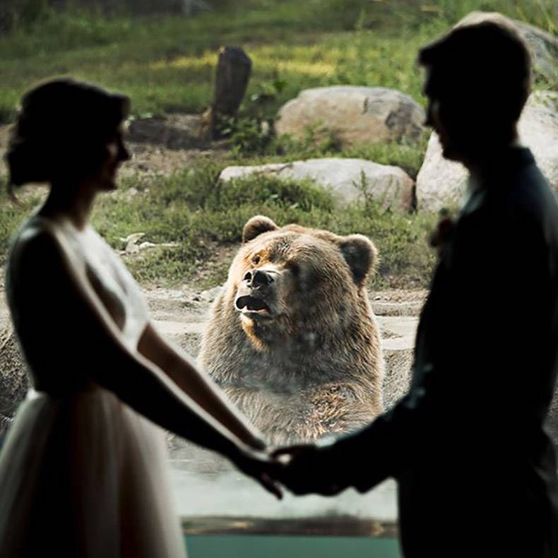 Gewoon een verzameling hilarische foto's #1022