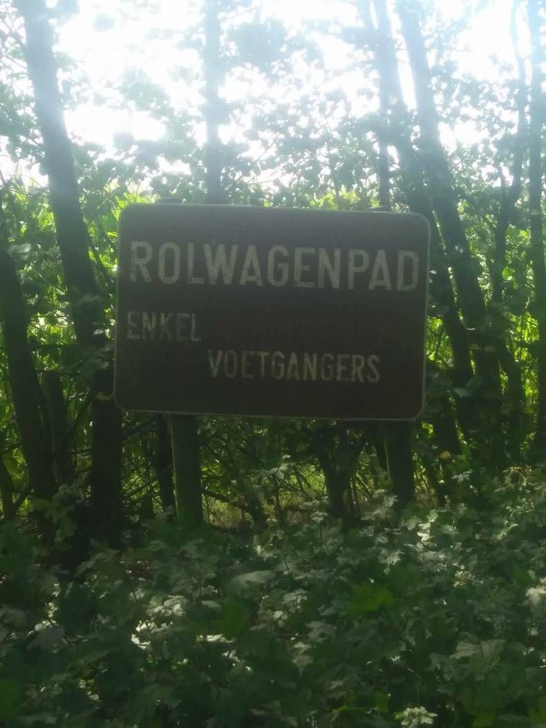 Gewoon een verzameling hilarische foto's #844