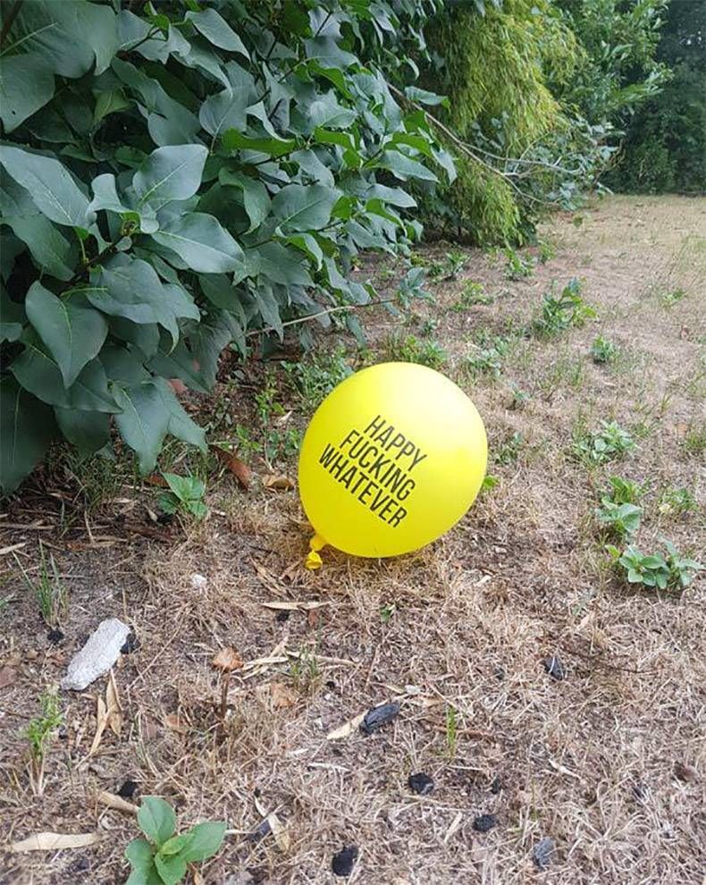 Gewoon een verzameling hilarische foto's #1142