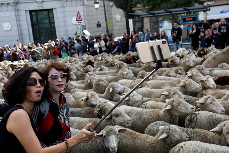 Gewoon een verzameling hilarische foto's #1039
