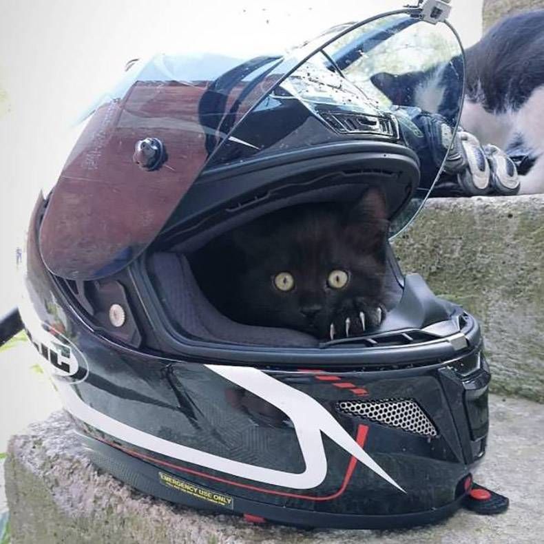 Gewoon een verzameling hilarische foto's #990