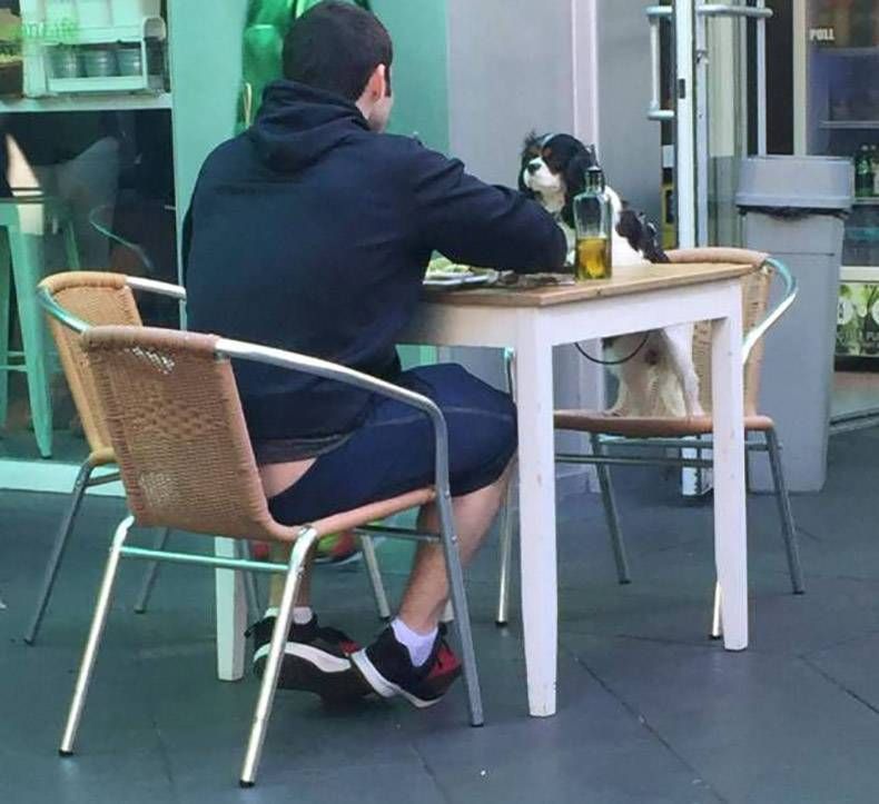 Gewoon een verzameling hilarische foto’s #917